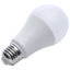 White LED Bulb-25605835-25605839