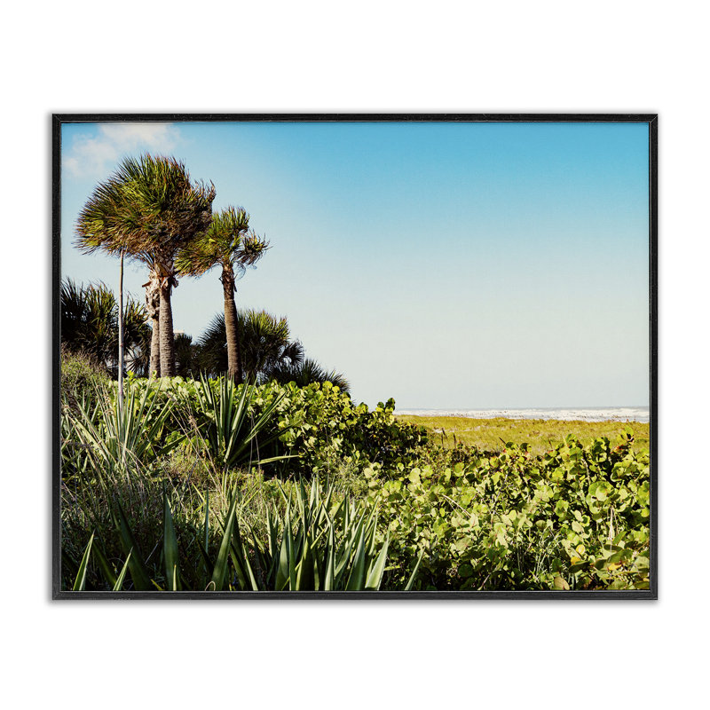 «Lush Tropical Shoreline», art de la giclée encadrée par Stede Bonnett, H 11 po x l 14 po, Giclée encadrée noir minuit