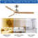 52 In.Intergrated LED Ceiling Fan Lighting With Remote Control
