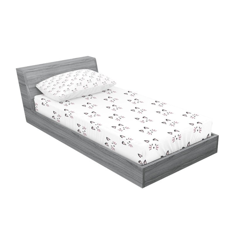 Drap-housse et coussin décoratif Ambesonne Kitten, gris pâle, Ensemble de draps-housses pour lit simple + 2 taie