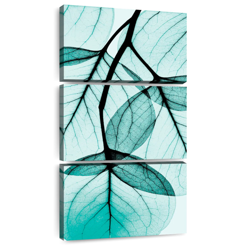Teal Eucalyptus