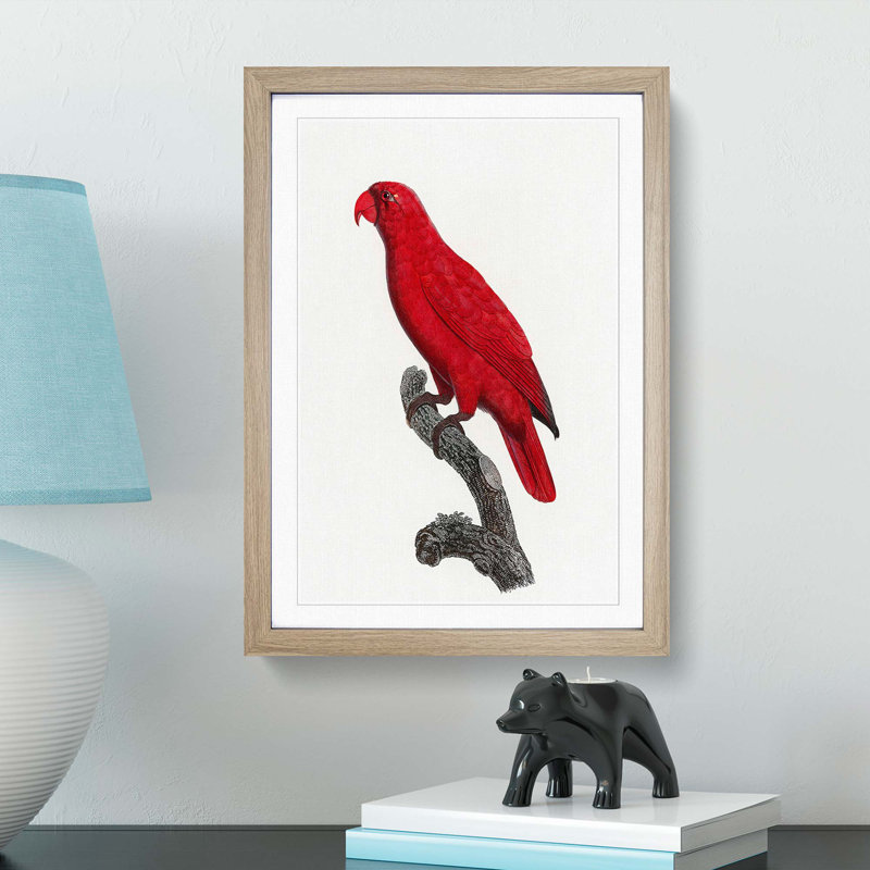Cardinal Lory by F. Levaillant - Picture Frame Painting Print, Oak Framed, 36cm H x 27cm W x 2cm D