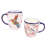 Zilla  Ceramic Teacup and Saucer