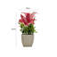 Nevaeha Table Vase-1467635759-1467635758