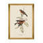 MOUNTAIN OF BRAMBLE FINCH