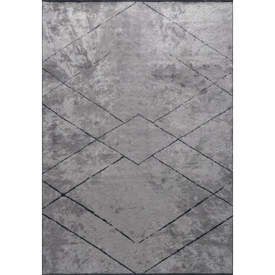 Rapture Abstract Area Rug in Gray