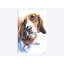 « basset ii », reproduction sur toile-32498727-72130298-72130299