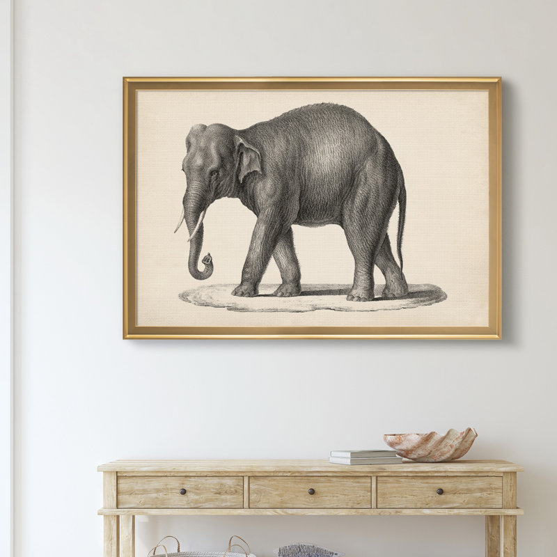 Brodtmann éléphant - cadre photo, reproduction d'art sur toile, H 18,5 po x l 24,5 po x P 1,5 po, Doré