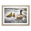 Ducklings with Mother Duck - Picture Frame Graphic Art Print-55734058-55734061