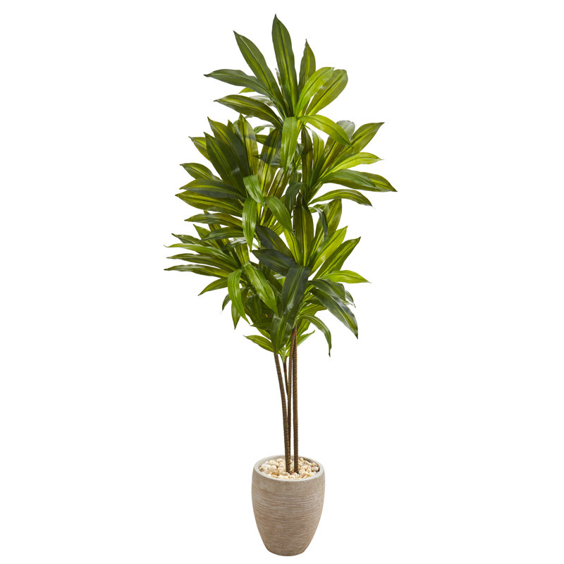 Arbre dracaena artificiel 55,5 po en pot