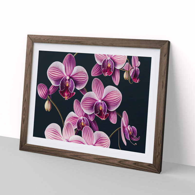 Sparkling Orchid Flowers - Framed Print, 46cm H x 64cm W x 2cm D, Walnut