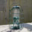 Caziyah Metal Hanging