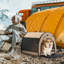 Caisse pour animaux-2056175967-2056175960