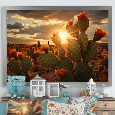 Champ de cactus vert avec coucher de soleil - impression