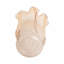 Vase en verre soufflé Ivy Bronx Bartoli-106599676-106599675