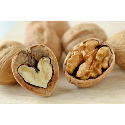 Walnuts - Wrapped Canvas Print