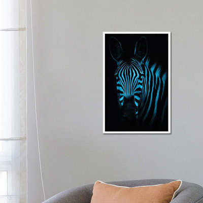 Cool Zebra by Paul Haag - Print on Canvas
