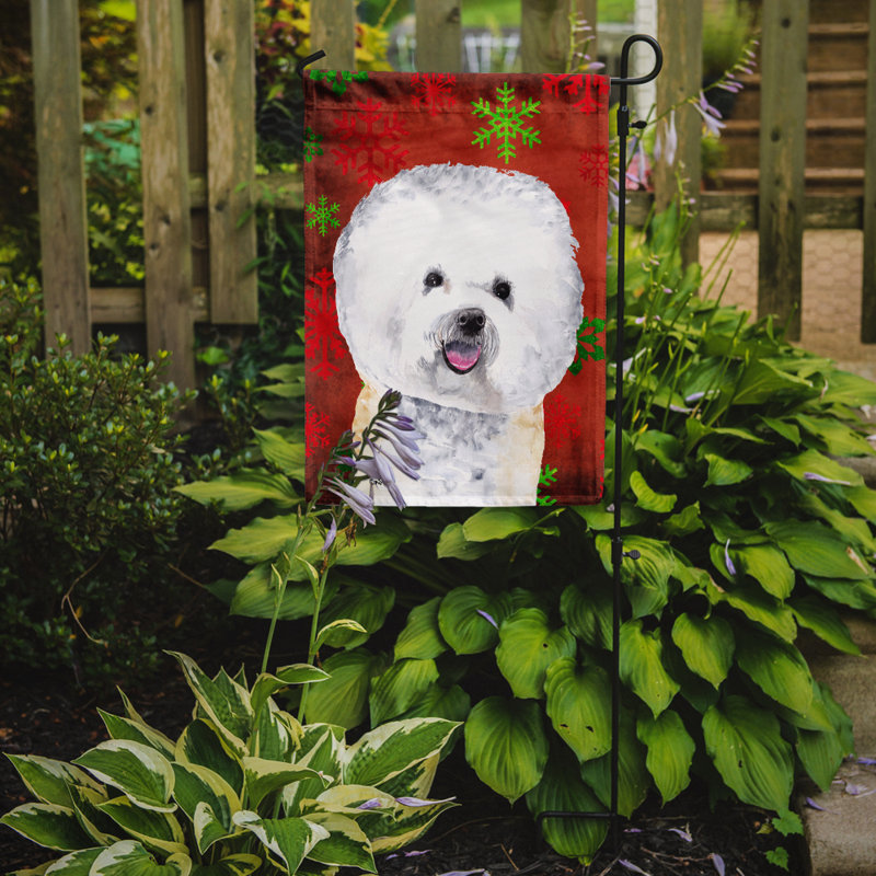 Drapeau rouge et vert Vart, Bichon frisé 1