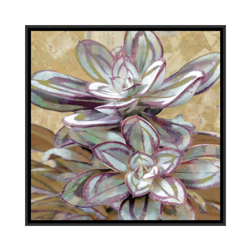 « succulent iv », impression sur toile, H 18 po x l 18 po x P 1,5 po, Toile avec cadre noir, Pas de tapis