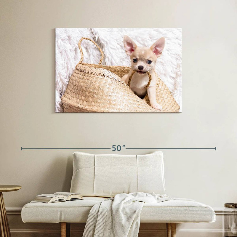 Rowdy Chihuahua, 26" H x 39" W