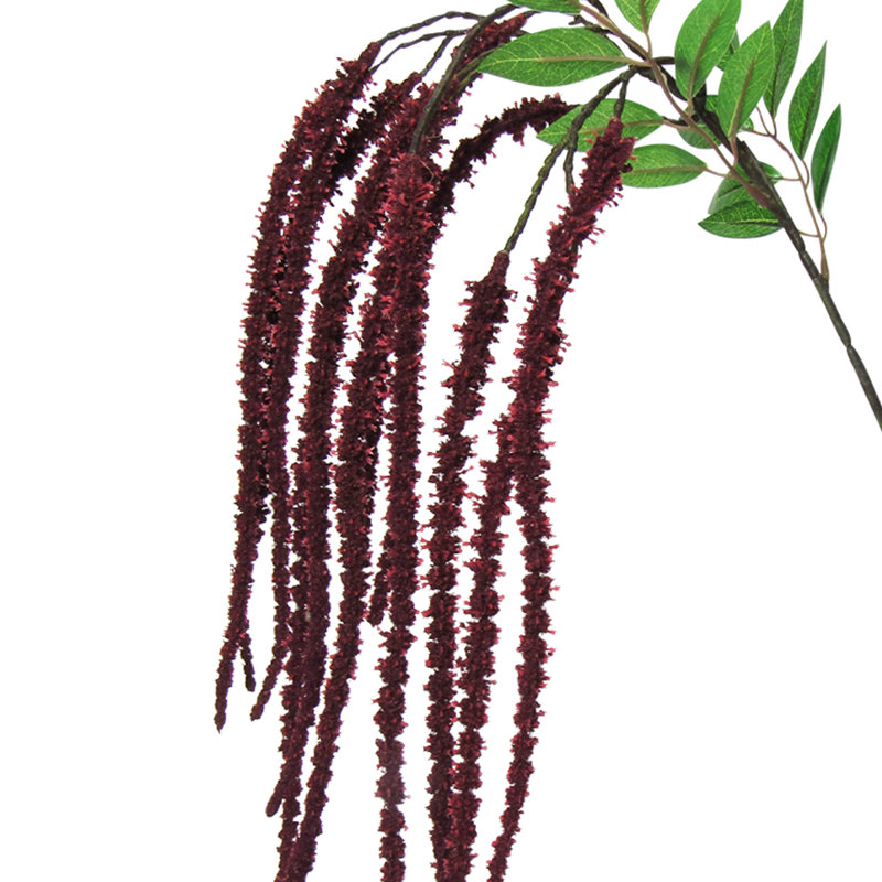 Tige de fleur d'amaranthe, Bourgogne