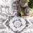 Josephine Distressed Floral Medallion Area Rug-29948549