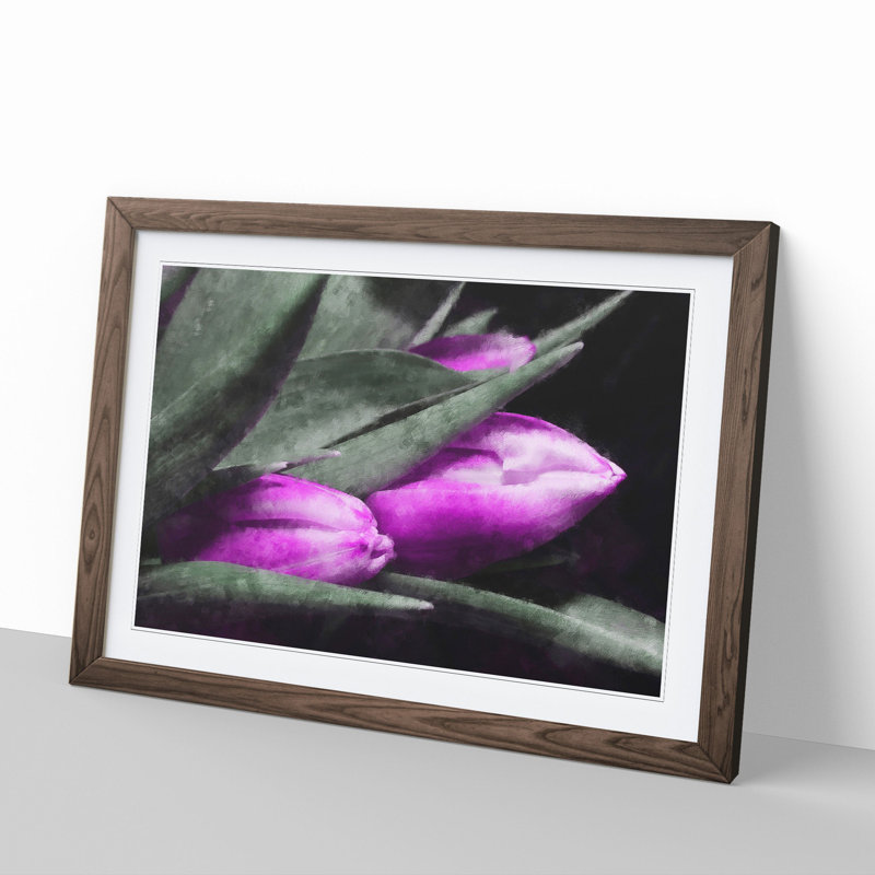 Purple Tulip Flowers Vol.1 - Framed Print, 27cm H x 36cm W x 2cm D, Walnut Framed