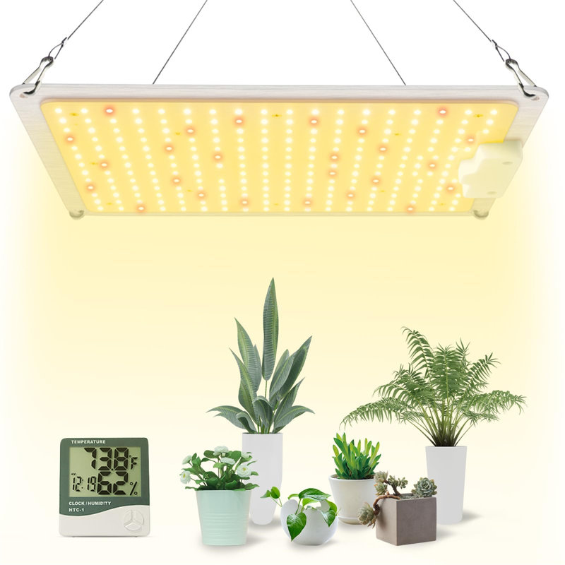Naomi Grow Light