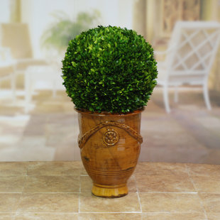 35'' Boxwood Topiary in Wood Urn