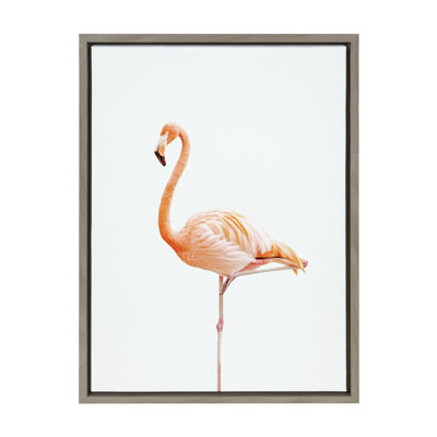 Flamant debout par Amy Peterson, reproduction d'art sur toile encadrée