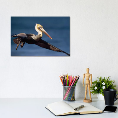Brown Pelican Flying, California 1 Piece Wall Art on Canvas