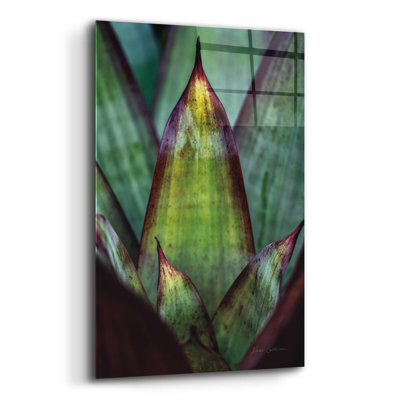 «Succulent Détail II» par Elise Catterall, art mural en verre acrylique