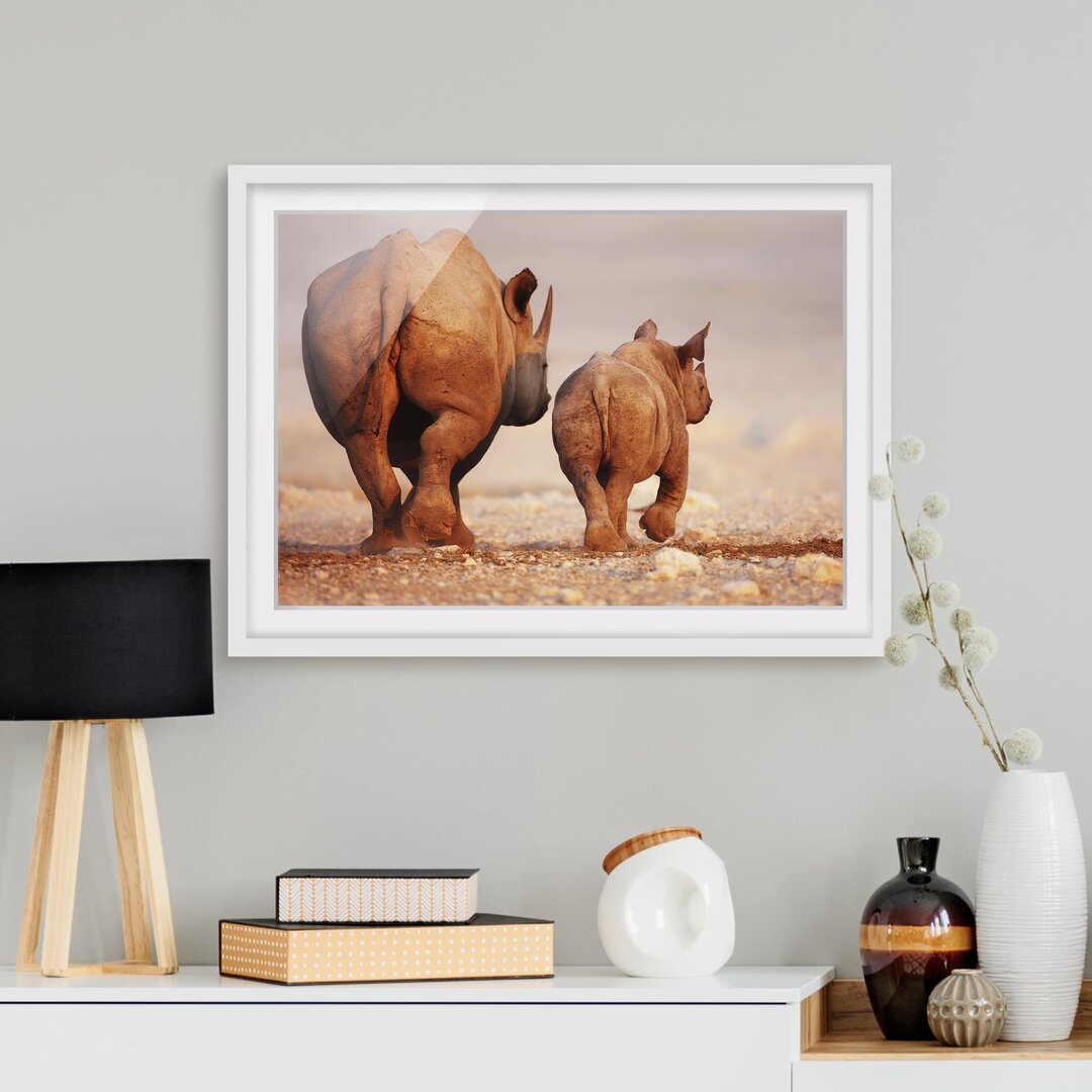 Gerahmtes Poster Wandering Rhinos