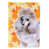 Caniche gris sélectionné