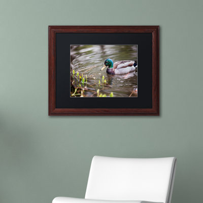 «Joden Mallard» par Jason Shaffer, reproduction de photo encadrée
