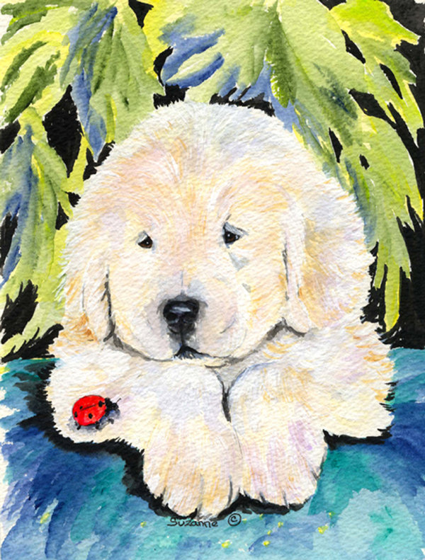 Drapeau de jardin 2 côtés golden retriever