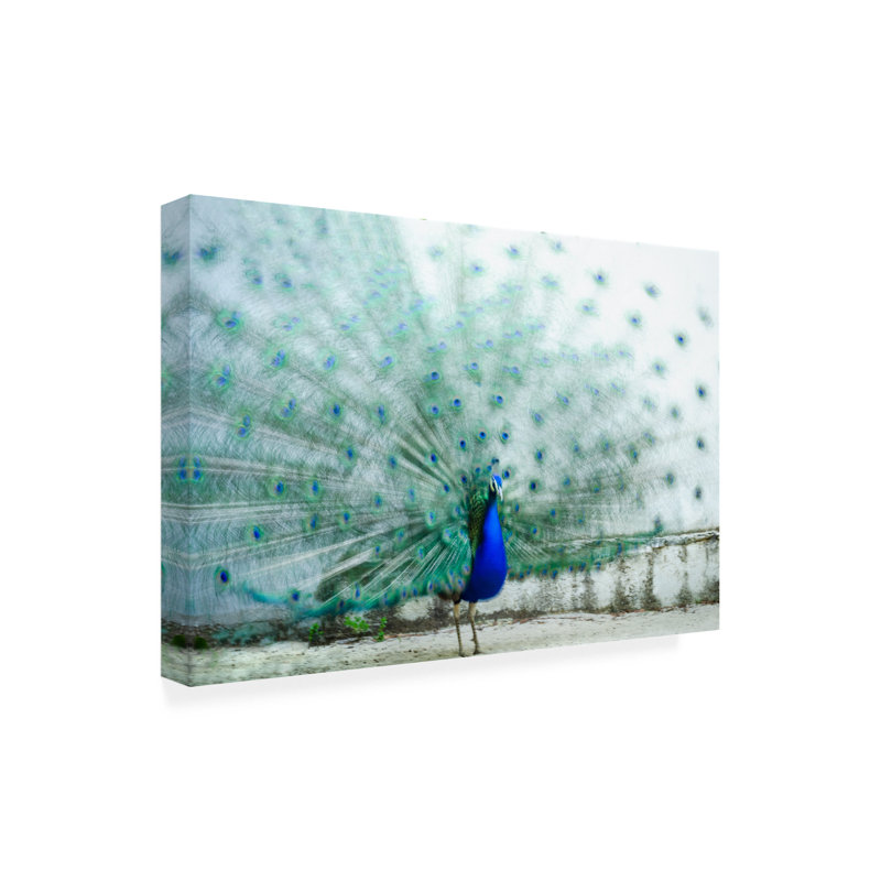 Paon moderne et contemporain sur toile, H 12 po x l 19 po x P 2 po