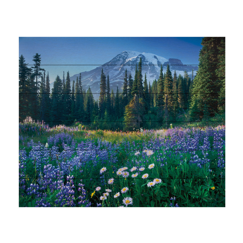 «Rainier» par Alan Majchrowicz, L 22 po x H 18 po