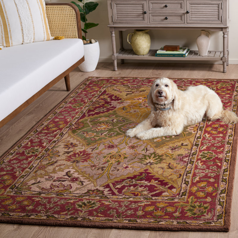 Geno Hand Tufted Wool/Cotton/Latex Oriental Rug in Red/Yellow/Green, Rectangle 6' x 9'