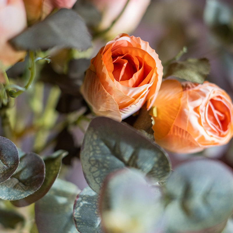 Tige de rose sec, Orange