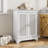 Two Door Storage Cabinet