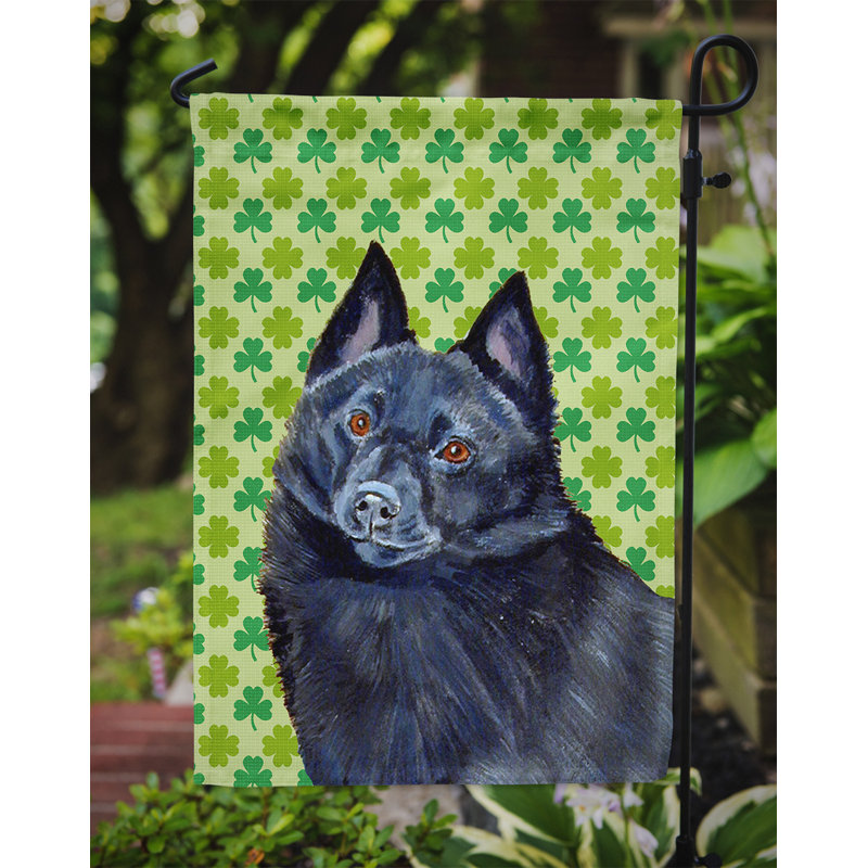 Drapeau de jardin à 2 côtés st. patrick day trèfle, Schipperke