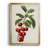 " Antique Fruit II "-691204004-691204003