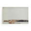 Gneiss by Paul Meyer-981940783