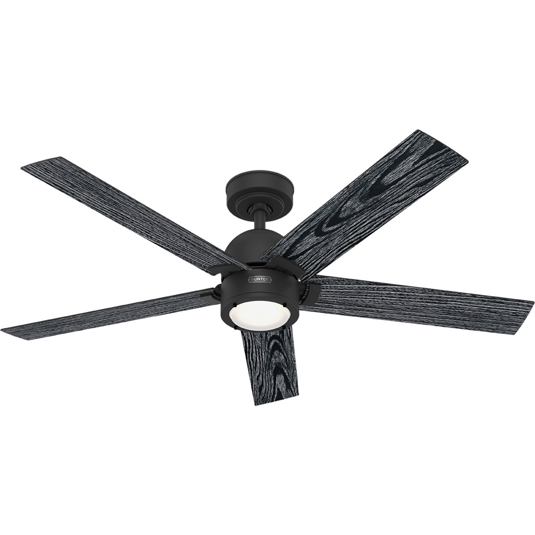 Hunter 52 Inch Erling ENERGY STAR® Ceiling Fan With Lights And Remote Hunter Fan Fan Body