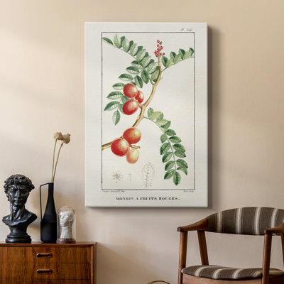 Turpin Tropical Botanicals III - Gallery Cavas