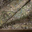 Tapis oriental noir / vert / ivoire Albion-598075175