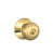 Bright Brass selected