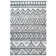 Liyuan Southwestern Hand Woven Area Rug
