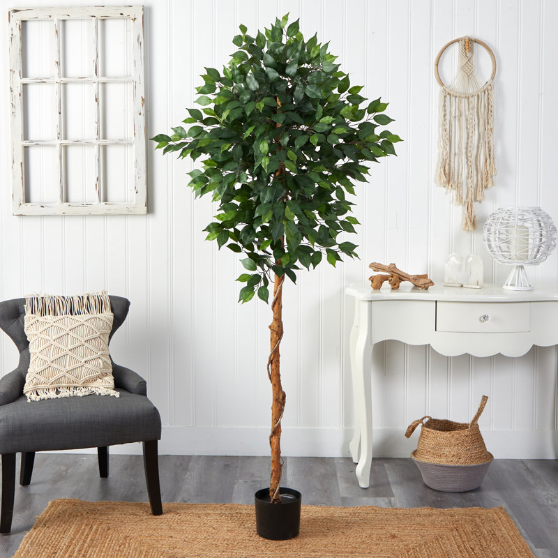 Faux Ficus Tree in Planter, 72" H x 27" W x 16" D